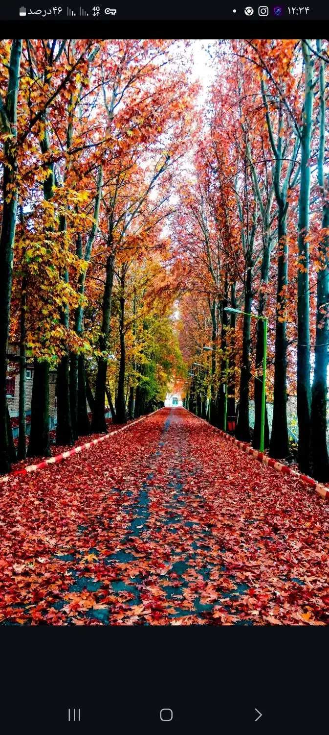 راهنمایی|حراج|کنگاور, |دیوار