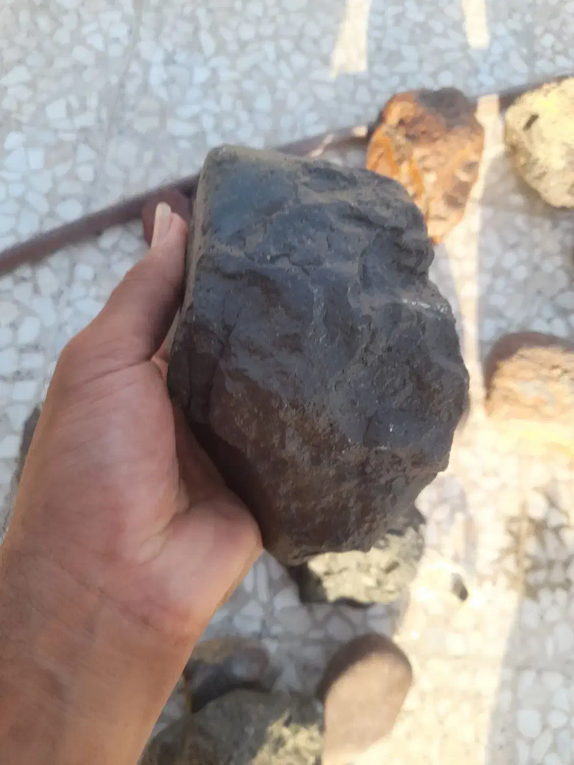 شهاب سنگ|کلکسیون اشیاء عتیقه|بندرعباس, |دیوار