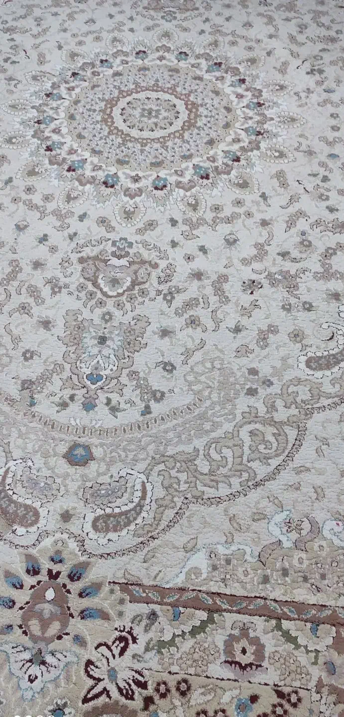 فرش 12متری|فرش|میناب, |دیوار