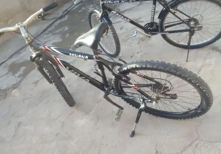 دوتا ویوا و اساک|دوچرخه، اسکیت، اسکوتر|بجنورد, |دیوار