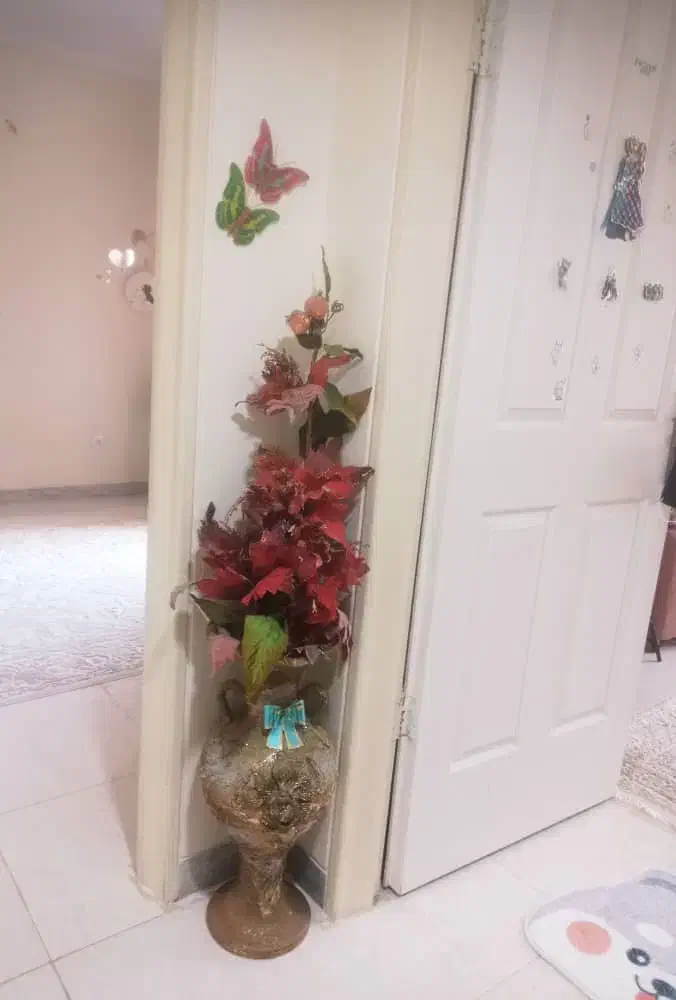 اینه و قاب و گل گلدان|آینه|کنارک, |دیوار