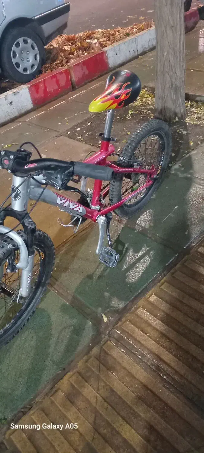 دوچرخه حرفهای تمام آلمینیوم ویوا|دوچرخه، اسکیت، اسکوتر|الوند, |دیوار