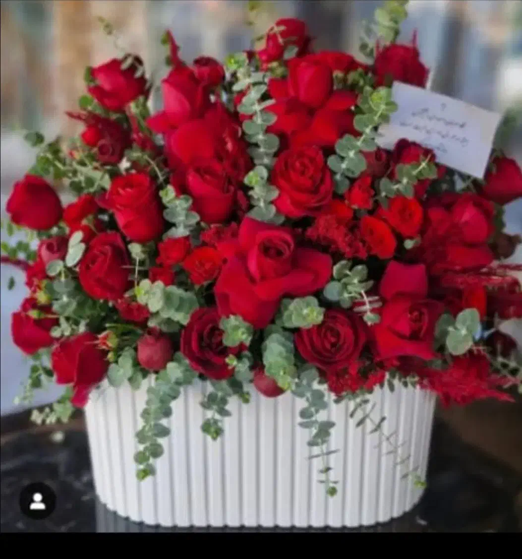 باکس گل رز طبیعی دیزاین خواستگاری تولد ...|گل و گیاه طبیعی|کرج, جهان‌شهر|دیوار