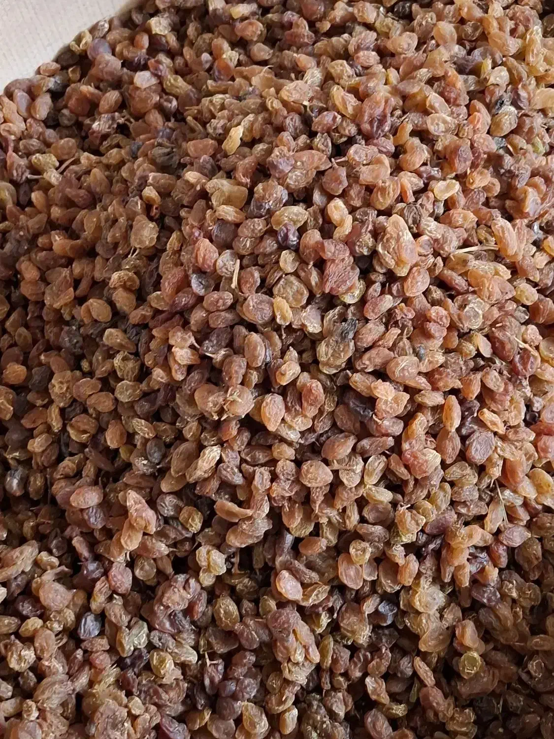 کمشمش خوراکی درجه۱|خوردنی و آشامیدنی|نیشابور, دربقاضی|دیوار