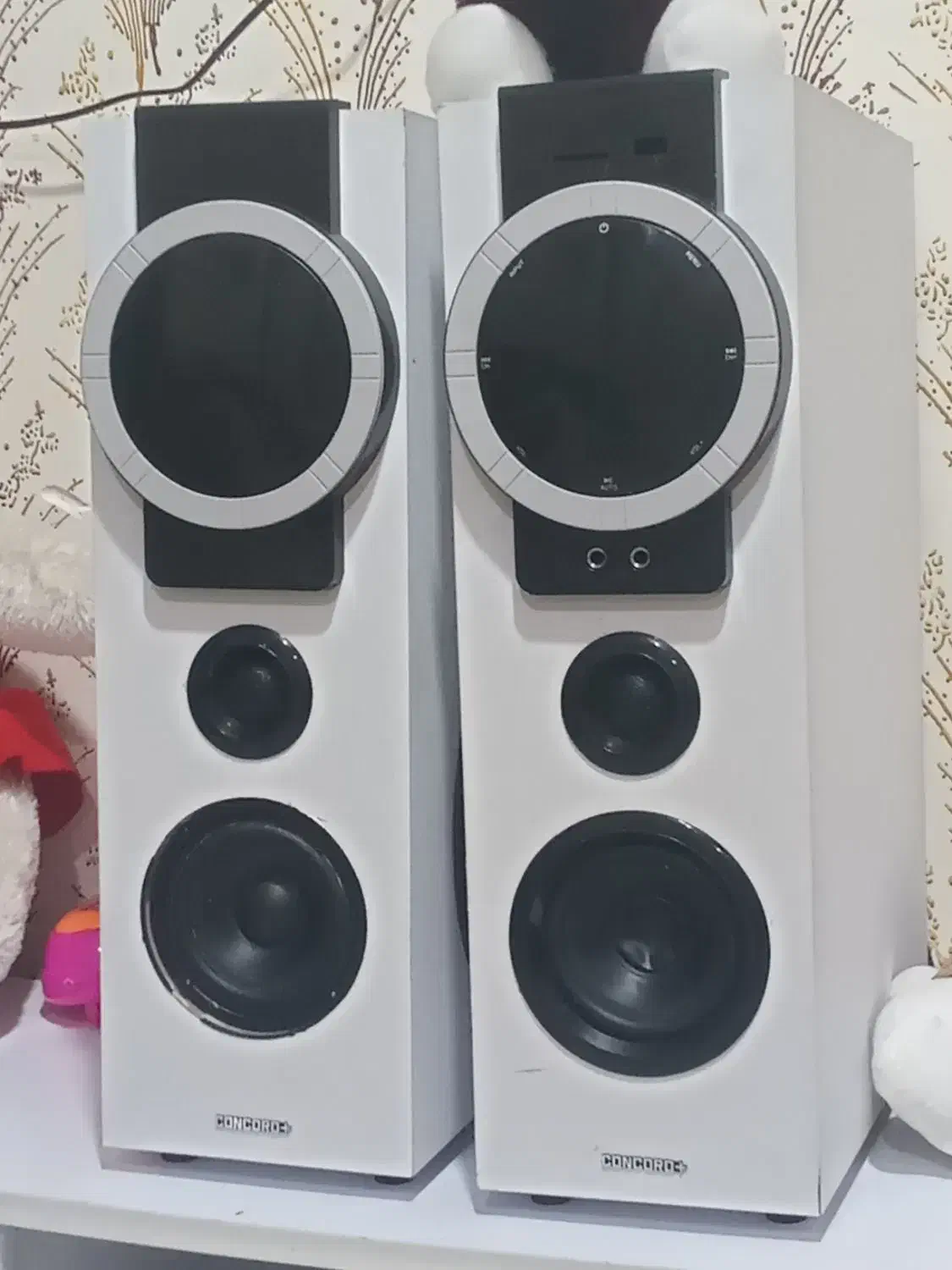 یک جفت اسپیکر درحد|سیستم صوتی خانگی|بم, |دیوار