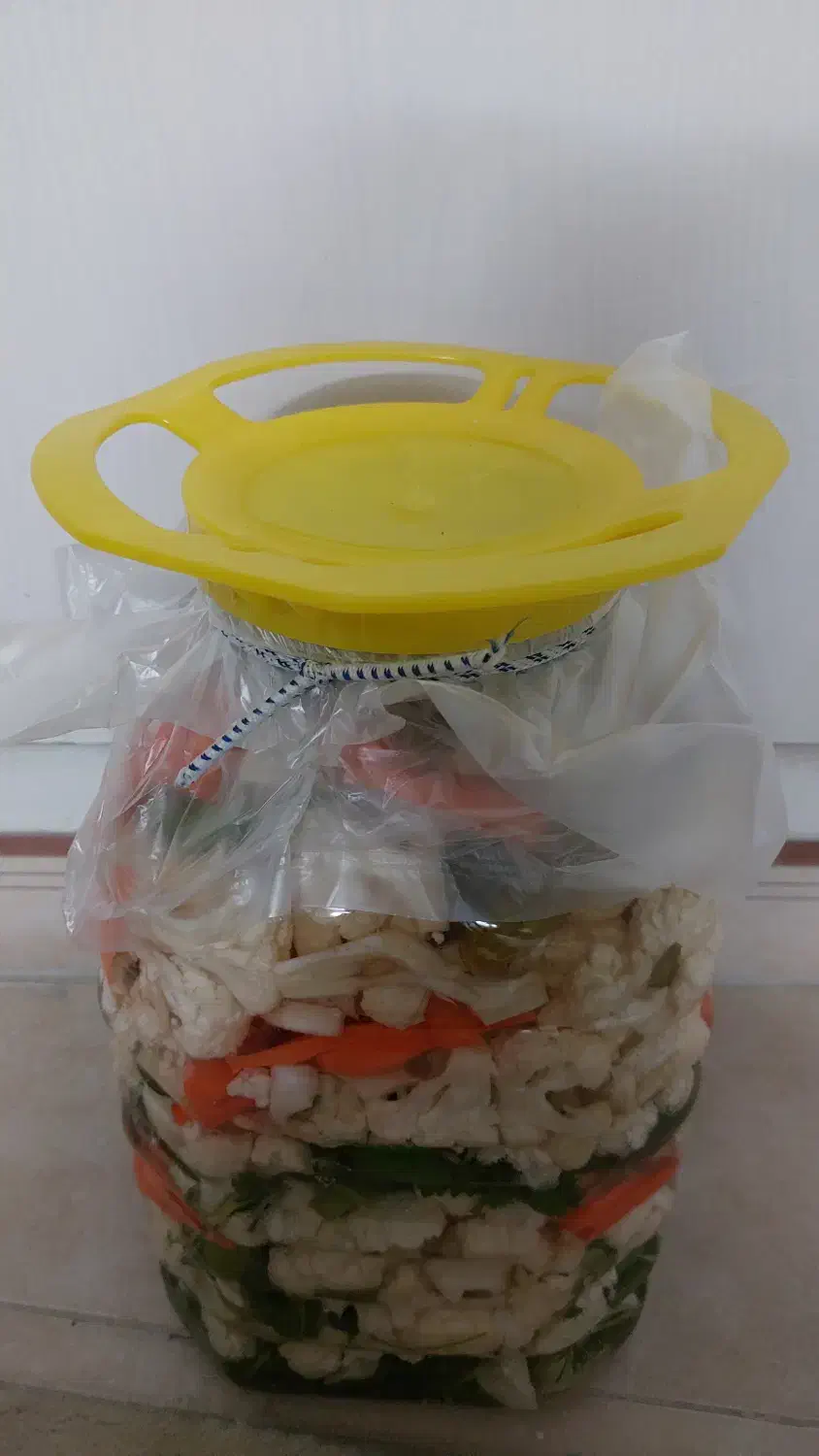 شور خانگی تازه|خوردنی و آشامیدنی|تهران, طرشت|دیوار