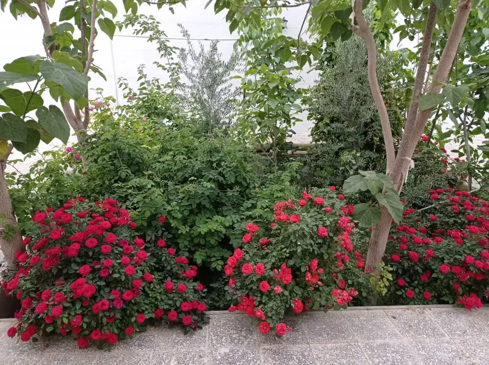 فروش منزل 2 خوابه در روستای اشکهران|فروش خانه و ویلا|ورزنه, |دیوار