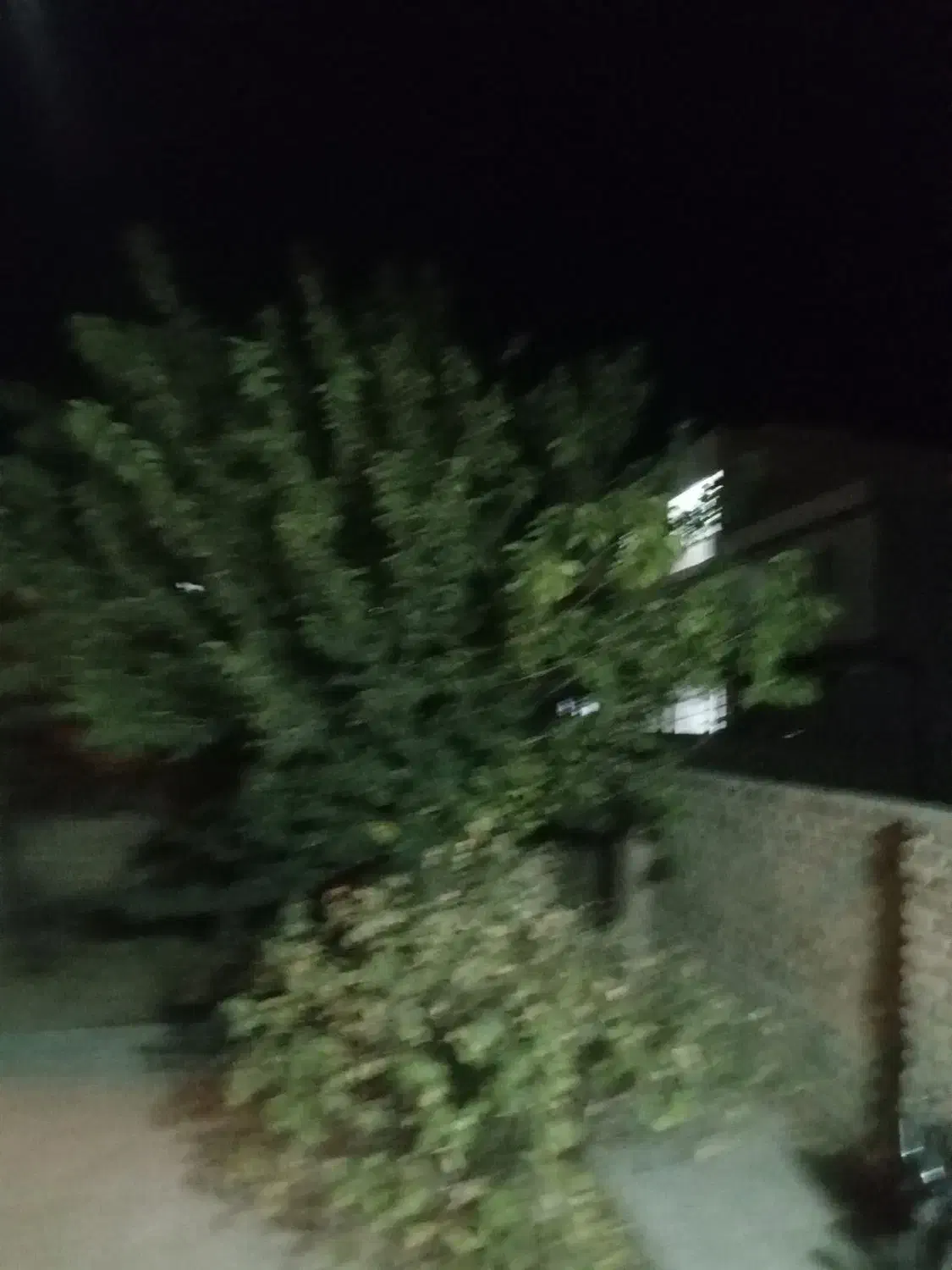 فروش ساختمان مسکونی ویلای|فروش خانه و ویلا|تاکستان, |دیوار