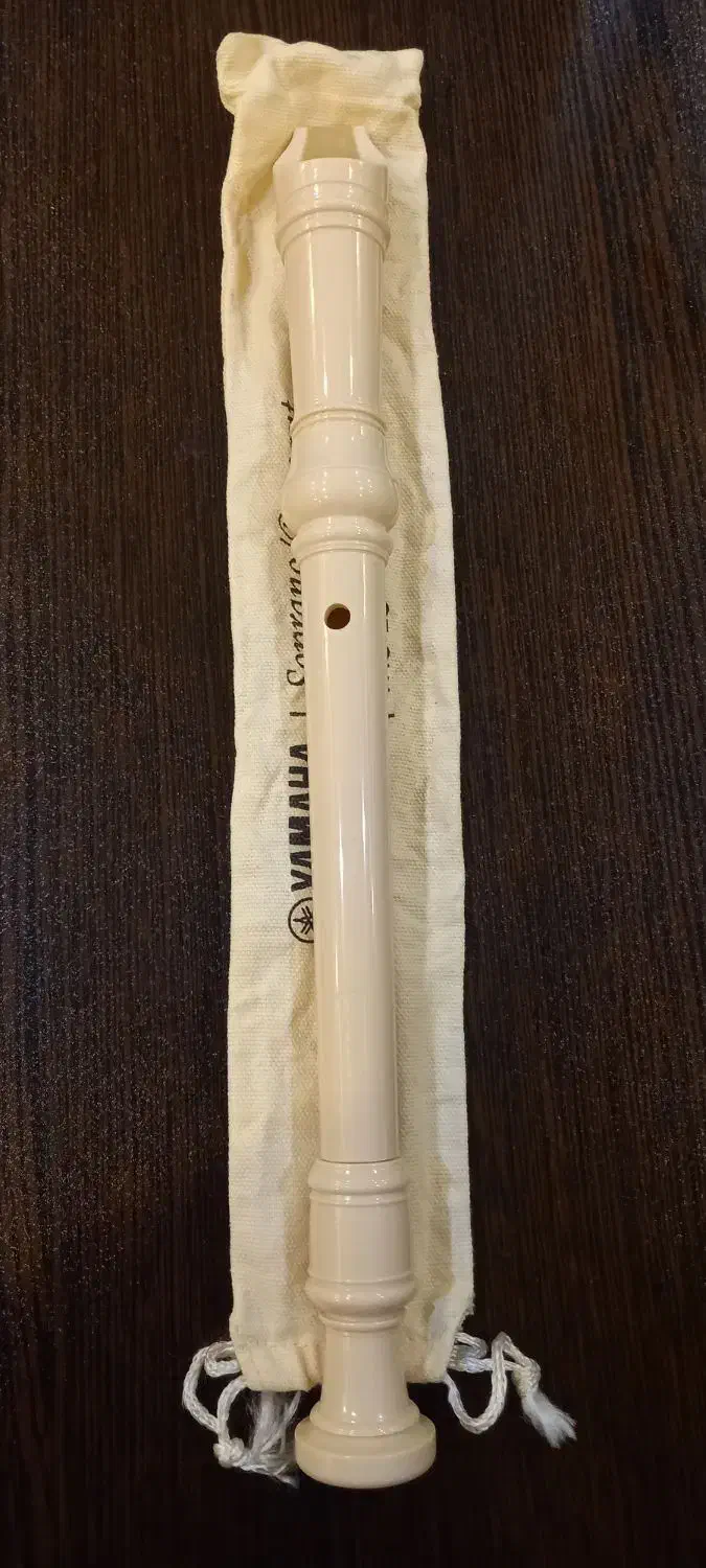 فلوت یاماهااصلی|سازهای بادی|اصفهان, بهارستان|دیوار