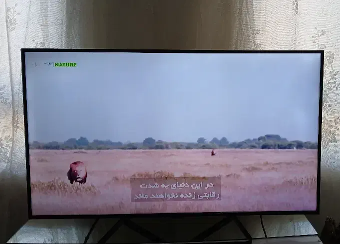 تلویزیون|تلویزیون و پروژکتور|اسلام‌‌آباد غرب, |دیوار