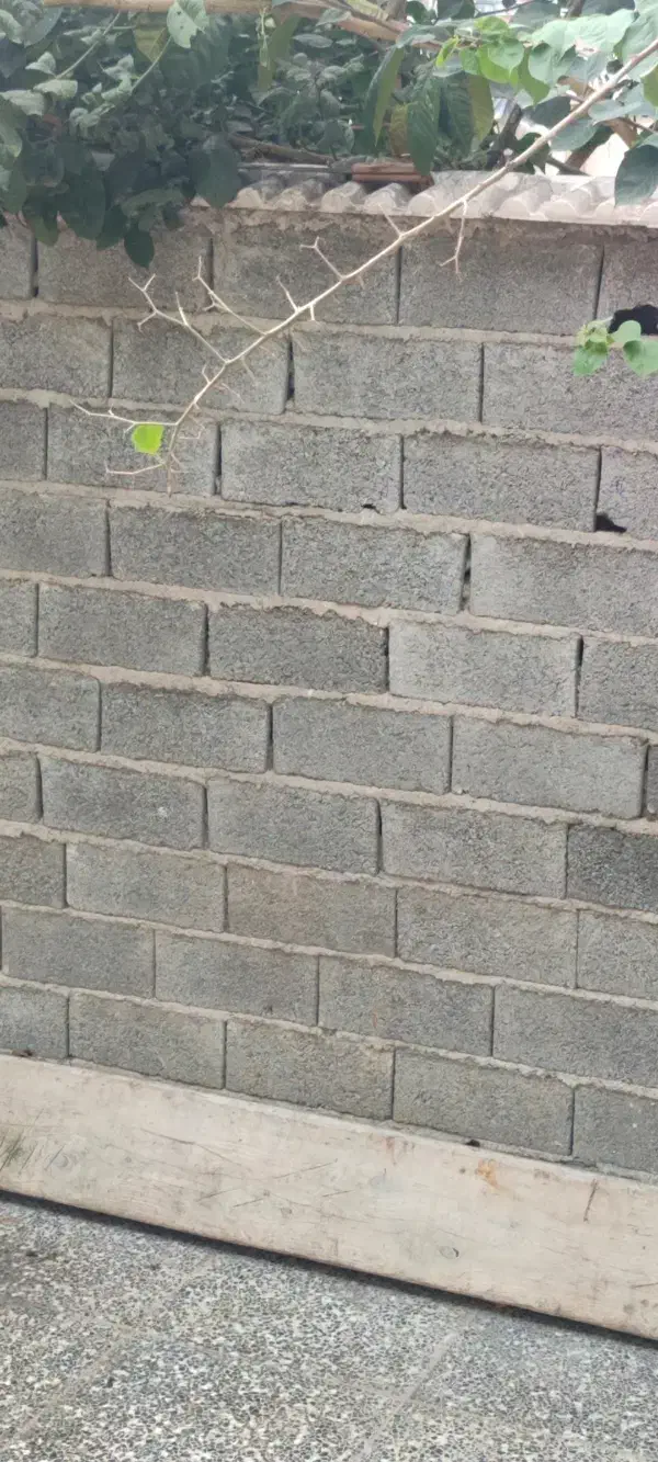 دیوار چینی سیمان کاری کاشی کاری|خدمات پیشه و مهارت|لاهیجان, آهندان|دیوار