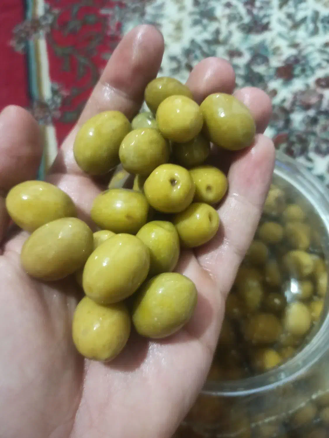 زیتون شور درشت|خوردنی و آشامیدنی|مینودشت, |دیوار