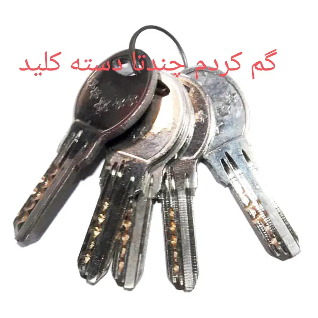 گم کردم چندتا دسته کلید|اشیا|اصفهان, جوزدان الیادران|دیوار