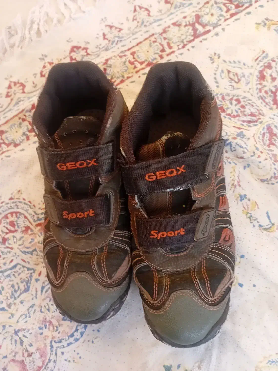 کفش سخره نوردی|کوهنوردی و کمپینگ|محمدیه-قزوین, |دیوار