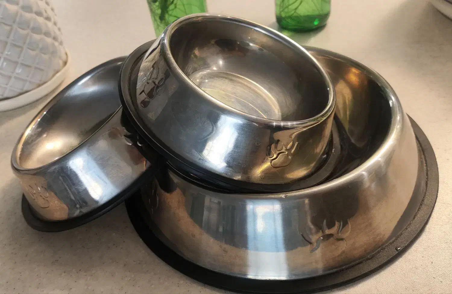 لوازم جانبی گربه|گربه|بومهن, |دیوار