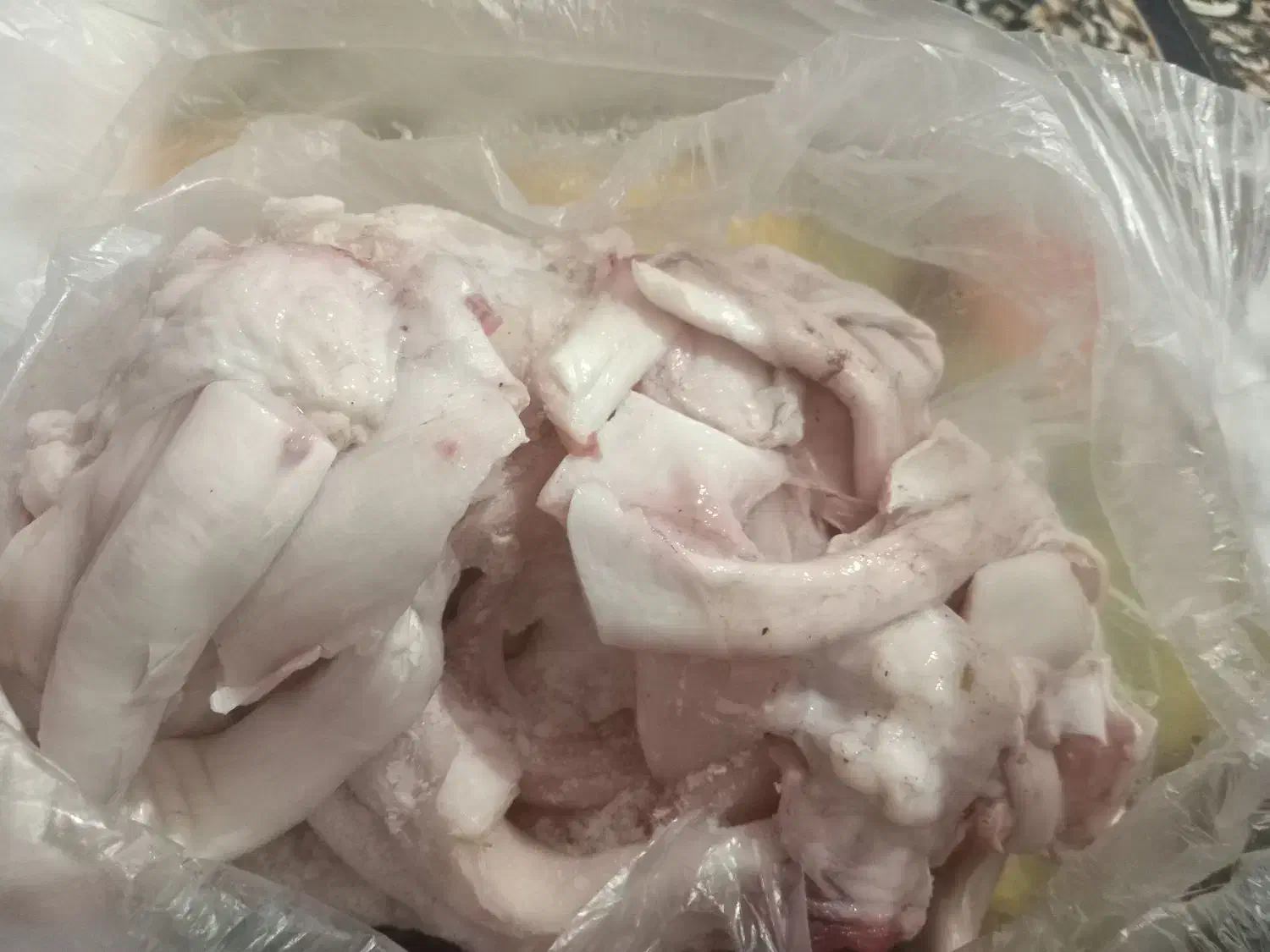 دامار درجه یک گاوی|خوردنی و آشامیدنی|کشکسرای, |دیوار