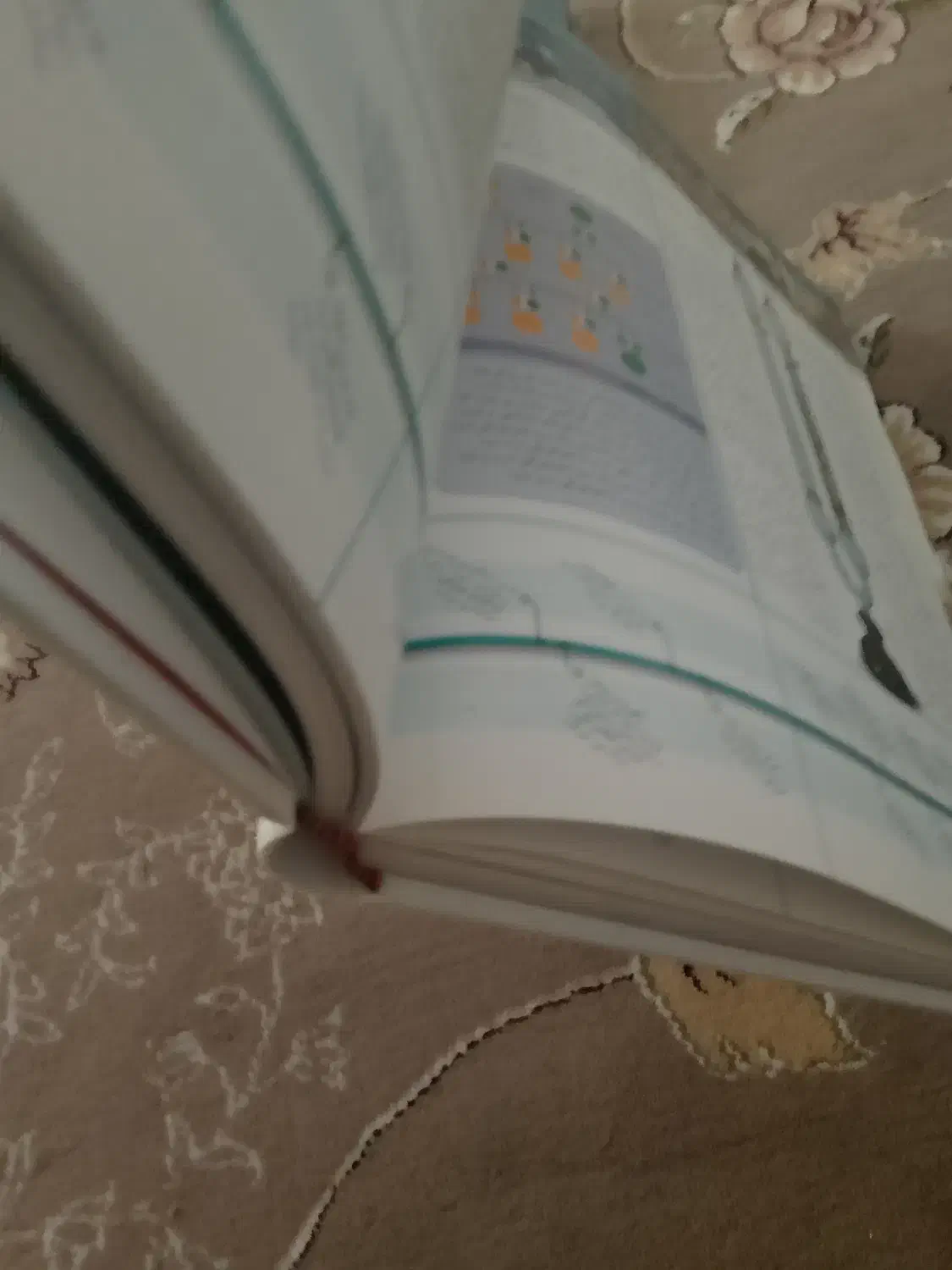 دایرةالمعارف مصور تاریخ علم و اختراعات و اکتشافات|کتاب و مجله تاریخی|اردبیل, |دیوار