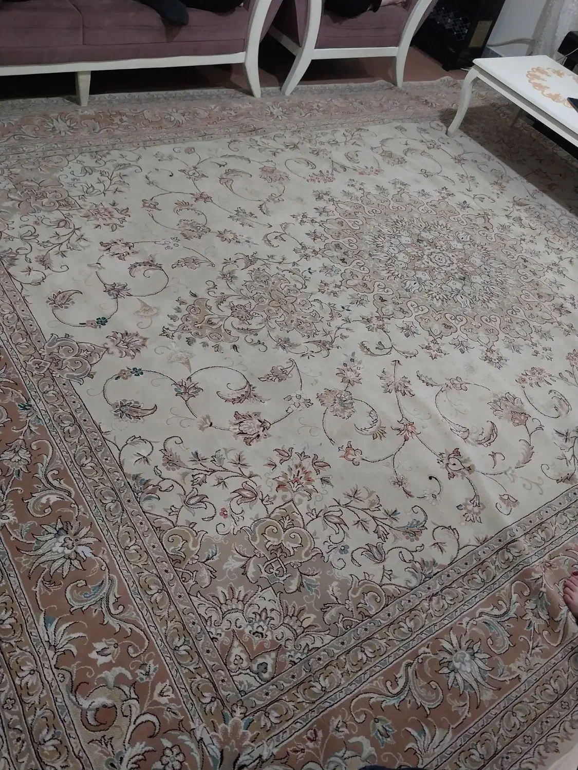 فرش ۱۲ متری|فرش|رشت, دیانتی|دیوار