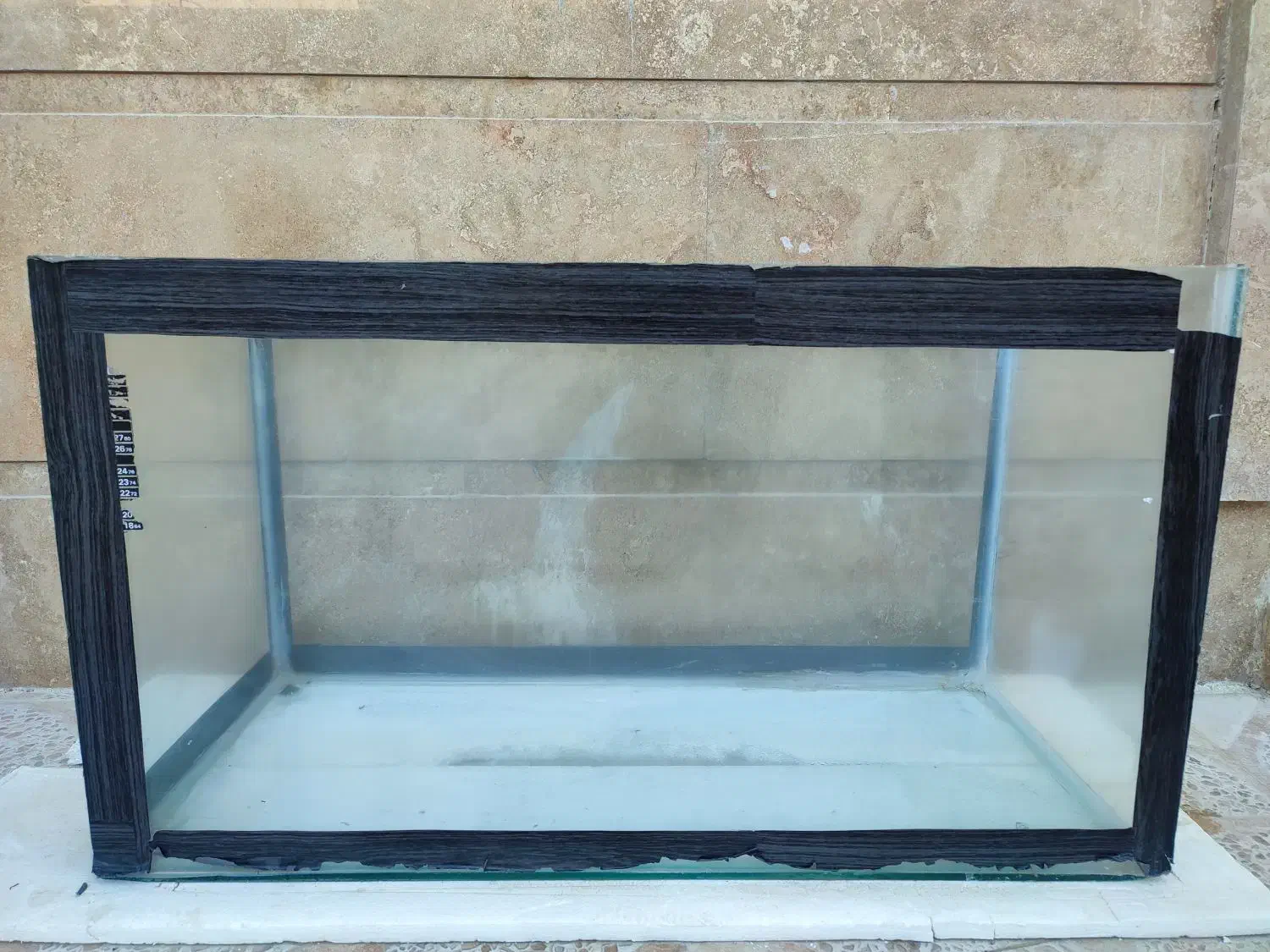 آکواریوم|ماهی|کازرون, |دیوار