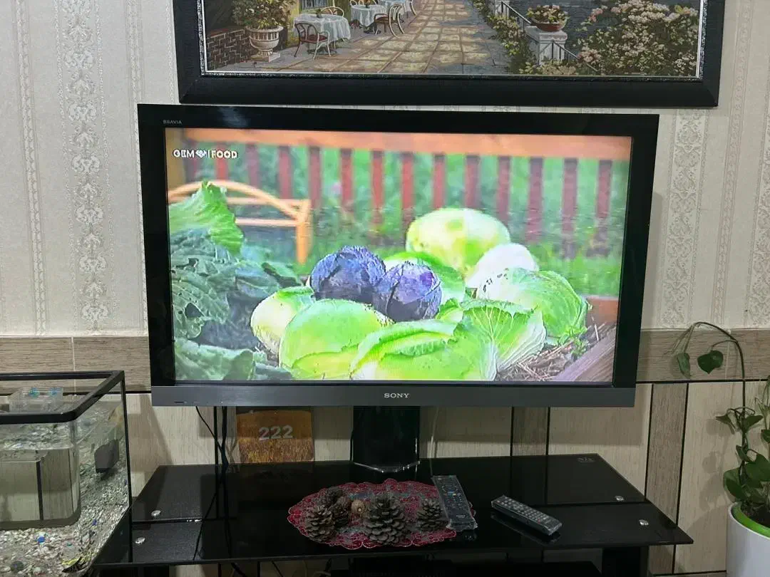 تلویزیون و میز تلویزیون شیشه ای|تلویزیون و پروژکتور|شوش, |دیوار