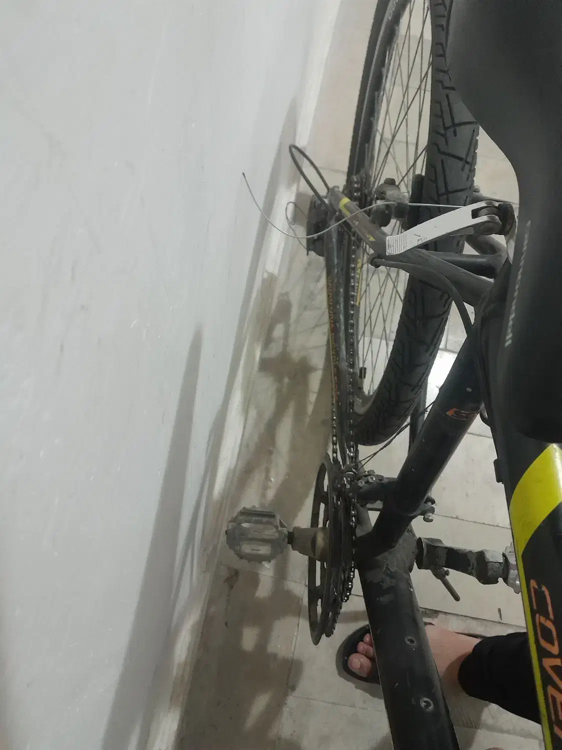 دوچرخه|دوچرخه، اسکیت، اسکوتر|سهند, |دیوار