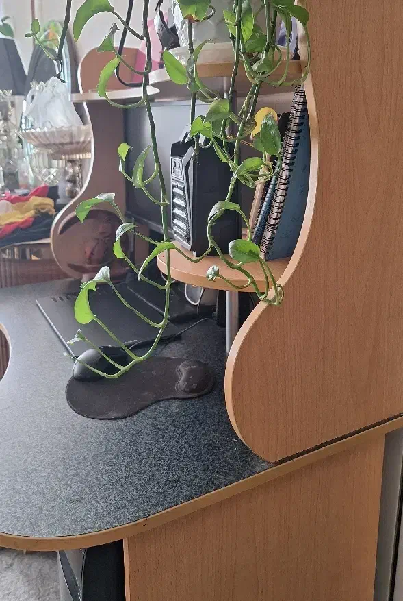 میزکامپیوتر کاملا سالم و چوب محکم|میز تحریر و کامپیوتر|اصفهان, شاه پسند|دیوار