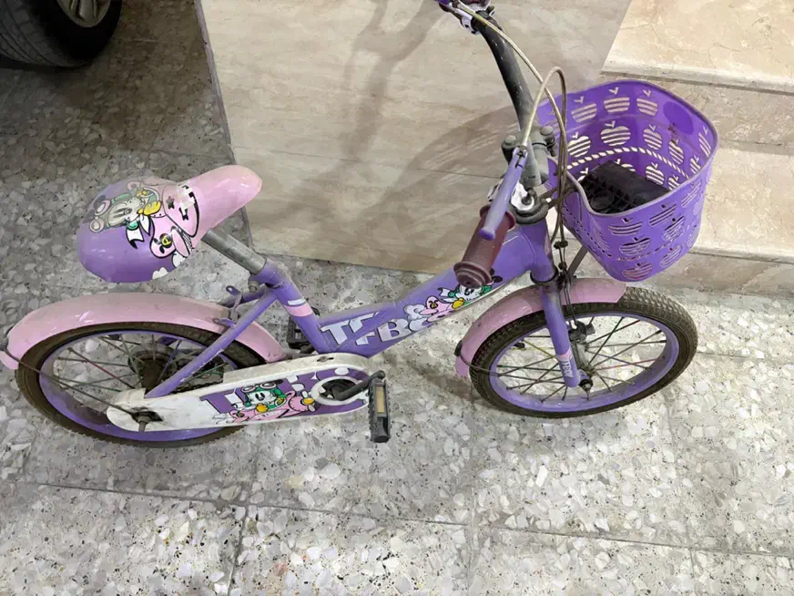 دو دستگاه دوچرخه|دوچرخه، اسکیت، اسکوتر|بندرعباس, |دیوار