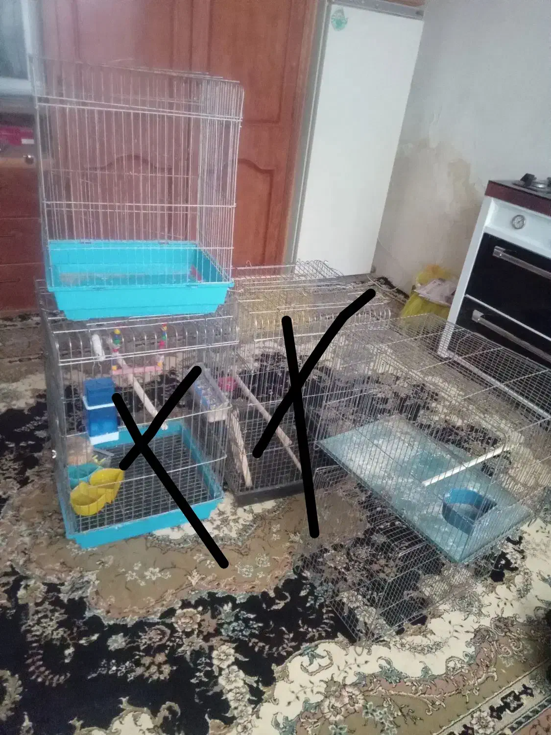 ۳عدد قفس ۶۰۰هزار|لوازم جانبی حیوانات|بروجرد, |دیوار