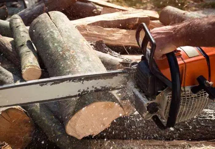 خرید انواع درخت و چوب  به قیمت روز (نقدی)|خدمات باغبانی و درختکاری|ارومیه, |دیوار