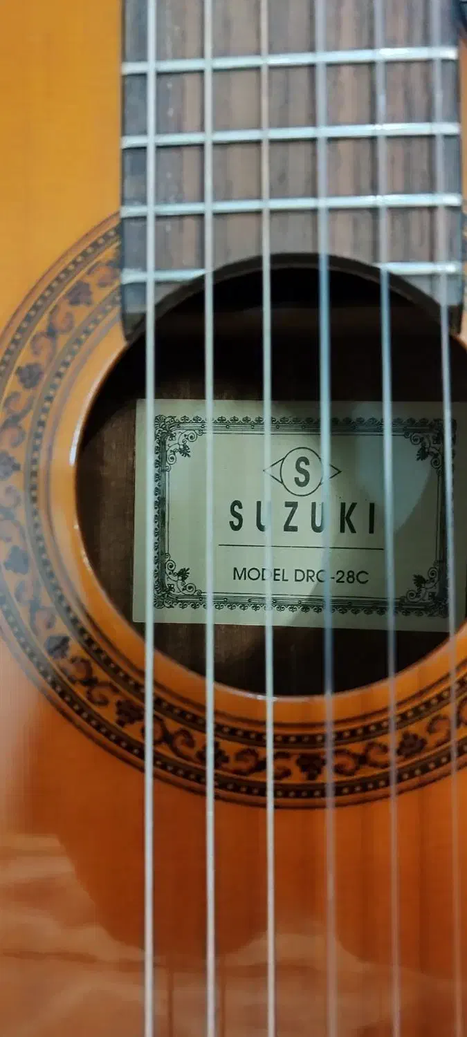 گیتار سوزوکیsuzuki|گیتار، بیس، امپلیفایر|مشهد, کلاهدوز|دیوار