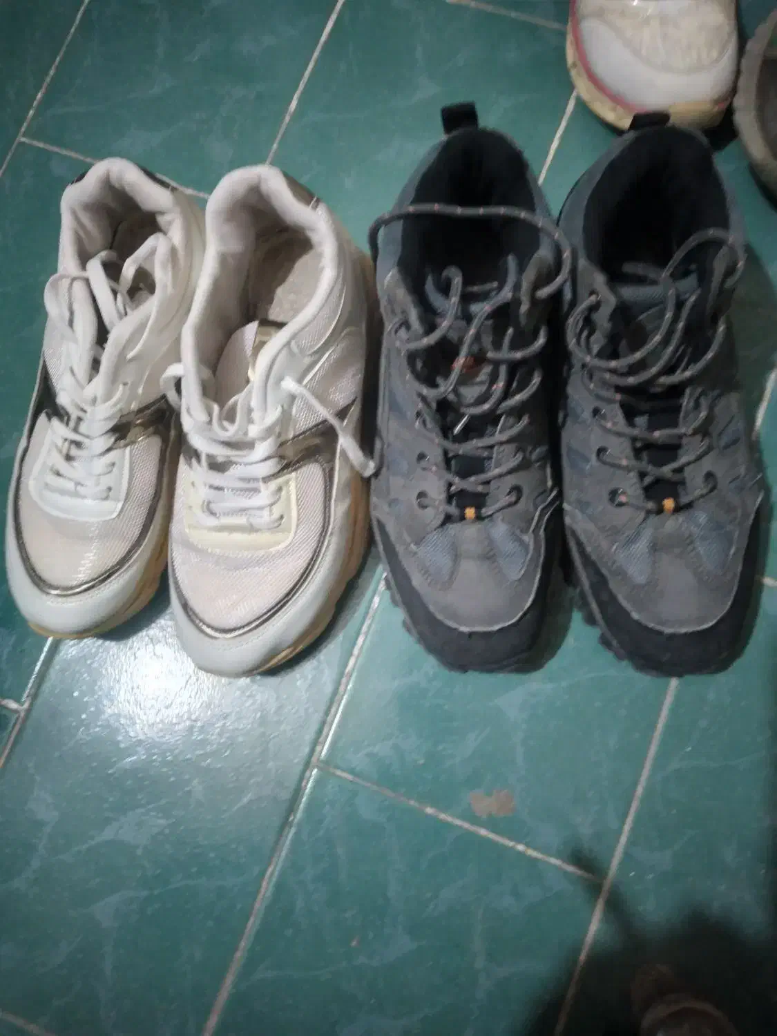 درحد نو|کیف، کفش، کمربند|مرودشت, پشت سایپا‎|دیوار