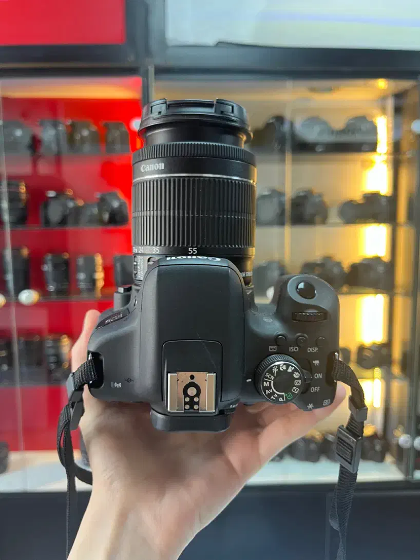 دوربین کنون Canon 750d +18-55mm قیمت شگفت انگیز|دوربین عکاسی و فیلم‌برداری|کرج, گلشهر|دیوار