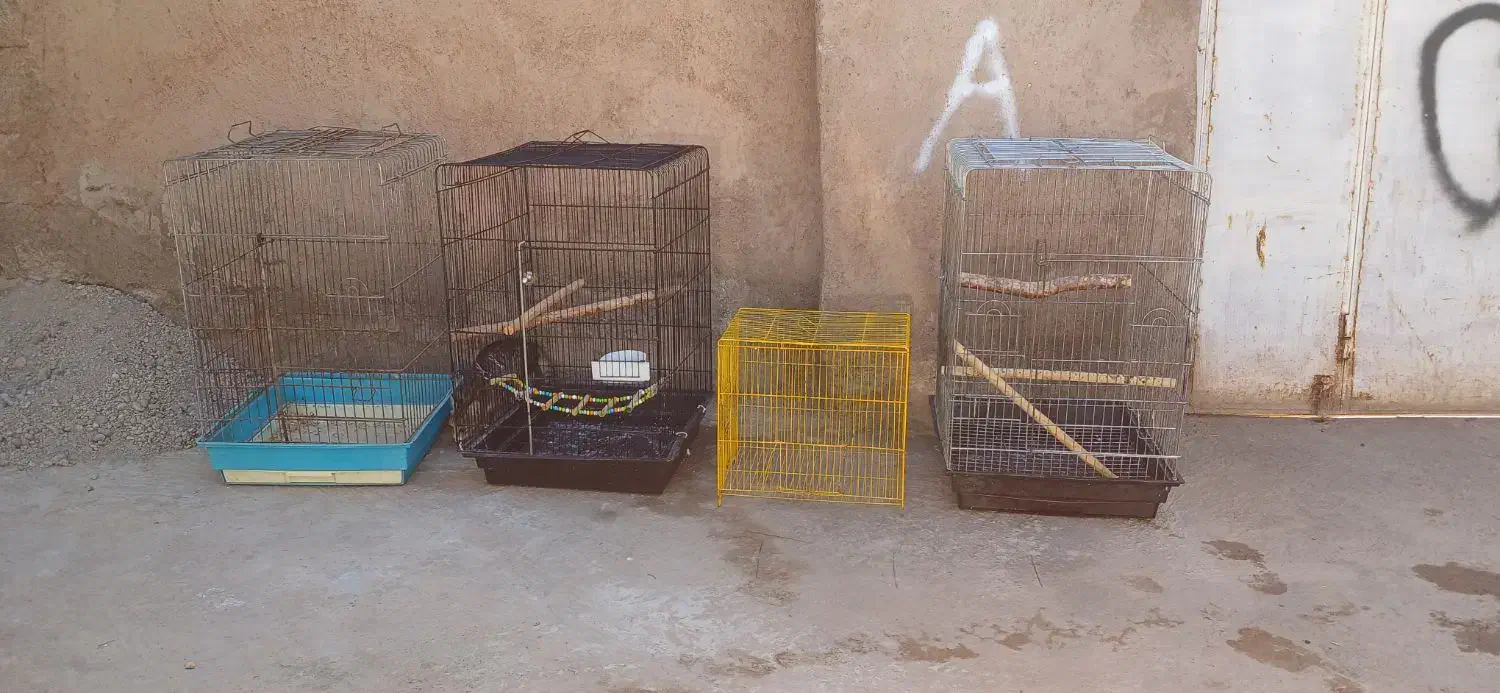 قفس بزرگ|لوازم جانبی حیوانات|خوی, |دیوار