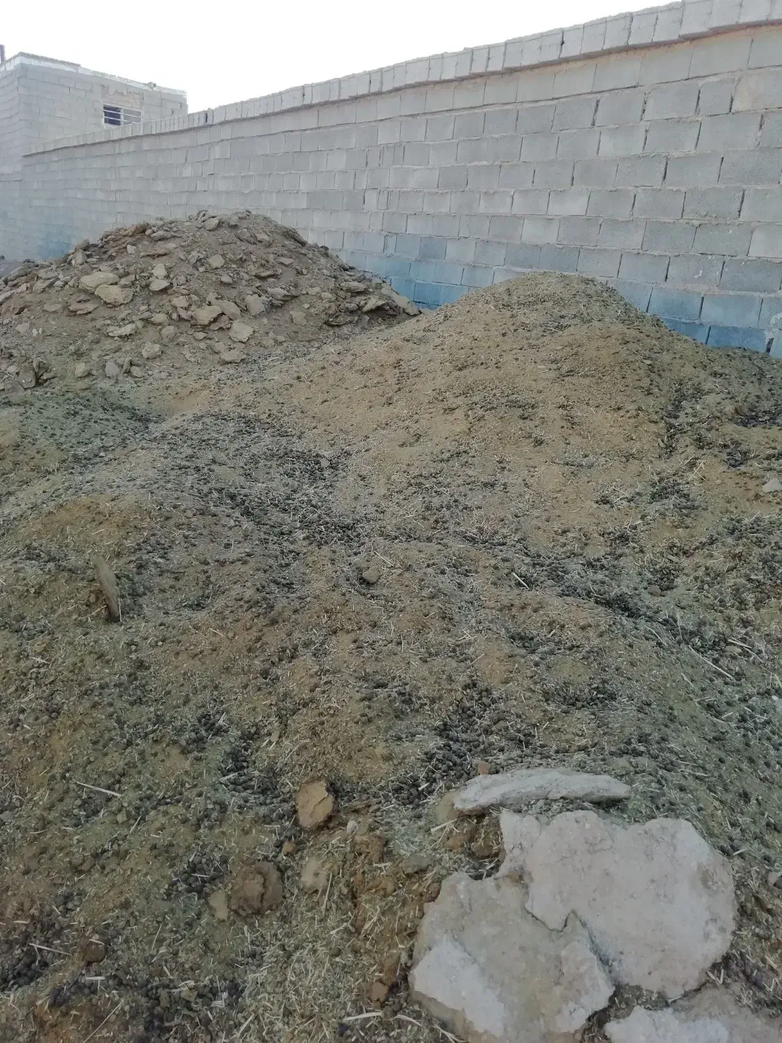 کودگوسفندی مال میش|خدمات باغبانی و درختکاری|نی‌ریز, |دیوار