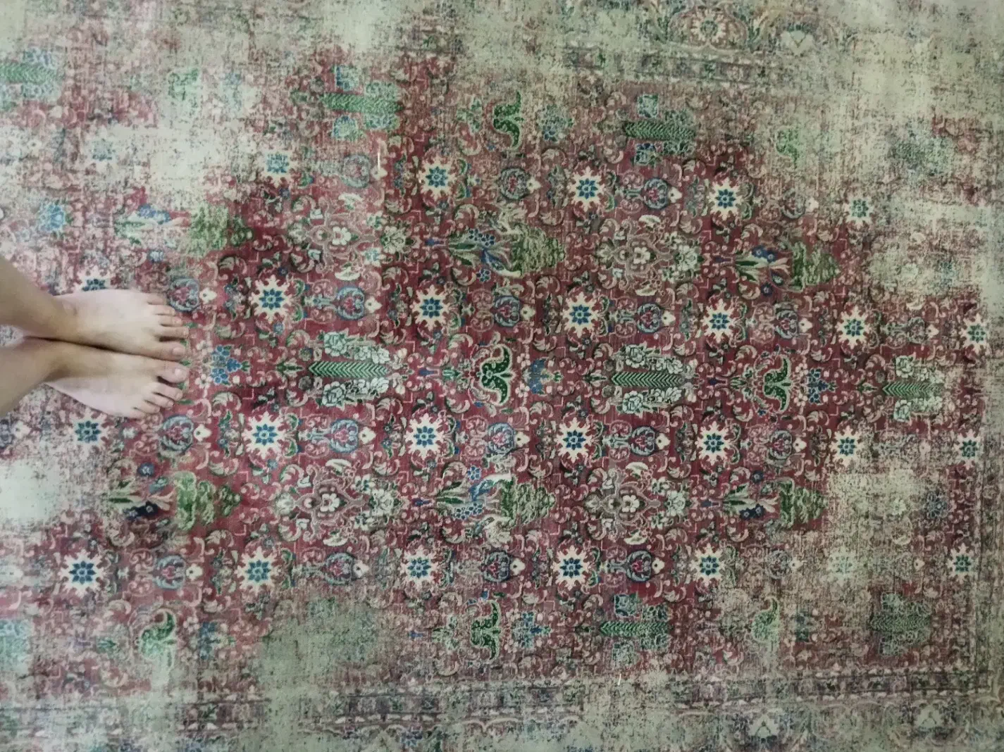 ۲ تخته فرش ۴ متری (آکبند)|فرش|نوشهر, |دیوار