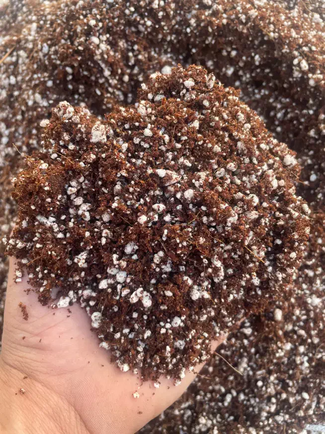 بستر کشت حرفهای گیاهان آپارتمانی و صیفیجات|گل و گیاه طبیعی|تربتحیدریه, بهشت عسکری|دیوار