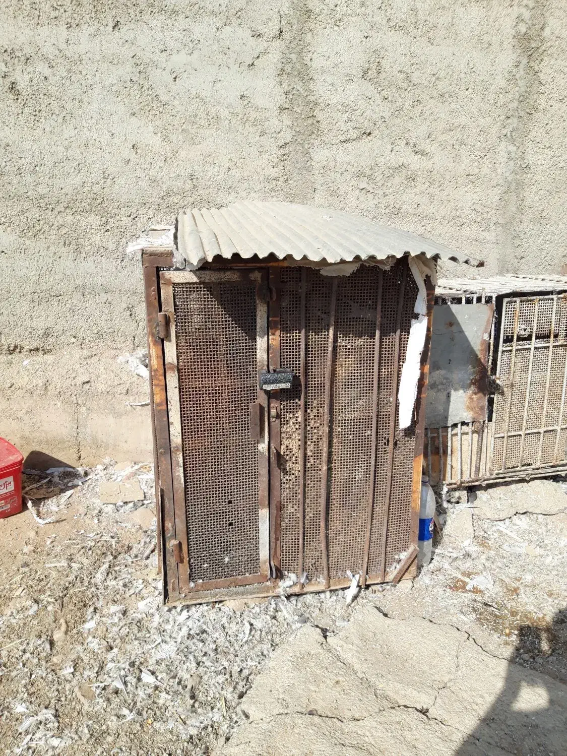 قفس کبوتر|لوازم جانبی حیوانات|هشتگرد, شهرک اداری|دیوار