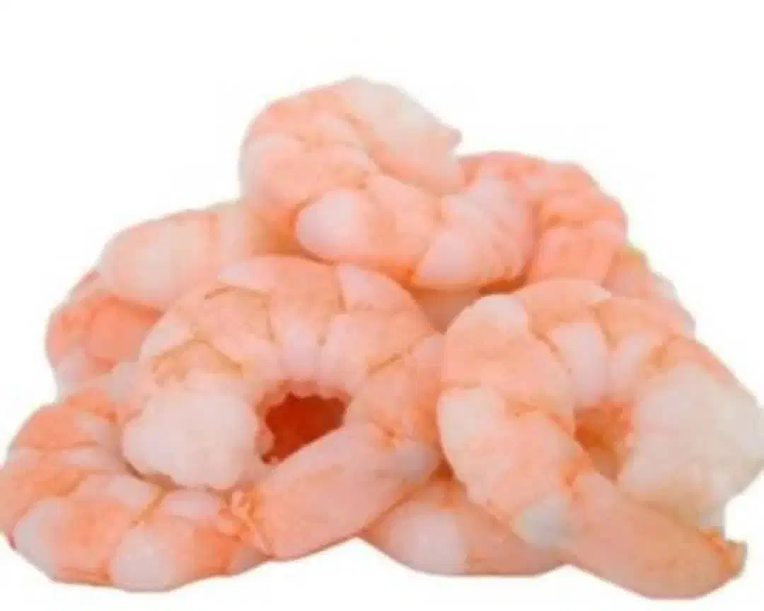 میگو پرورشی با اب دریا /خواجه|ماهی|بندر گناوه, |دیوار