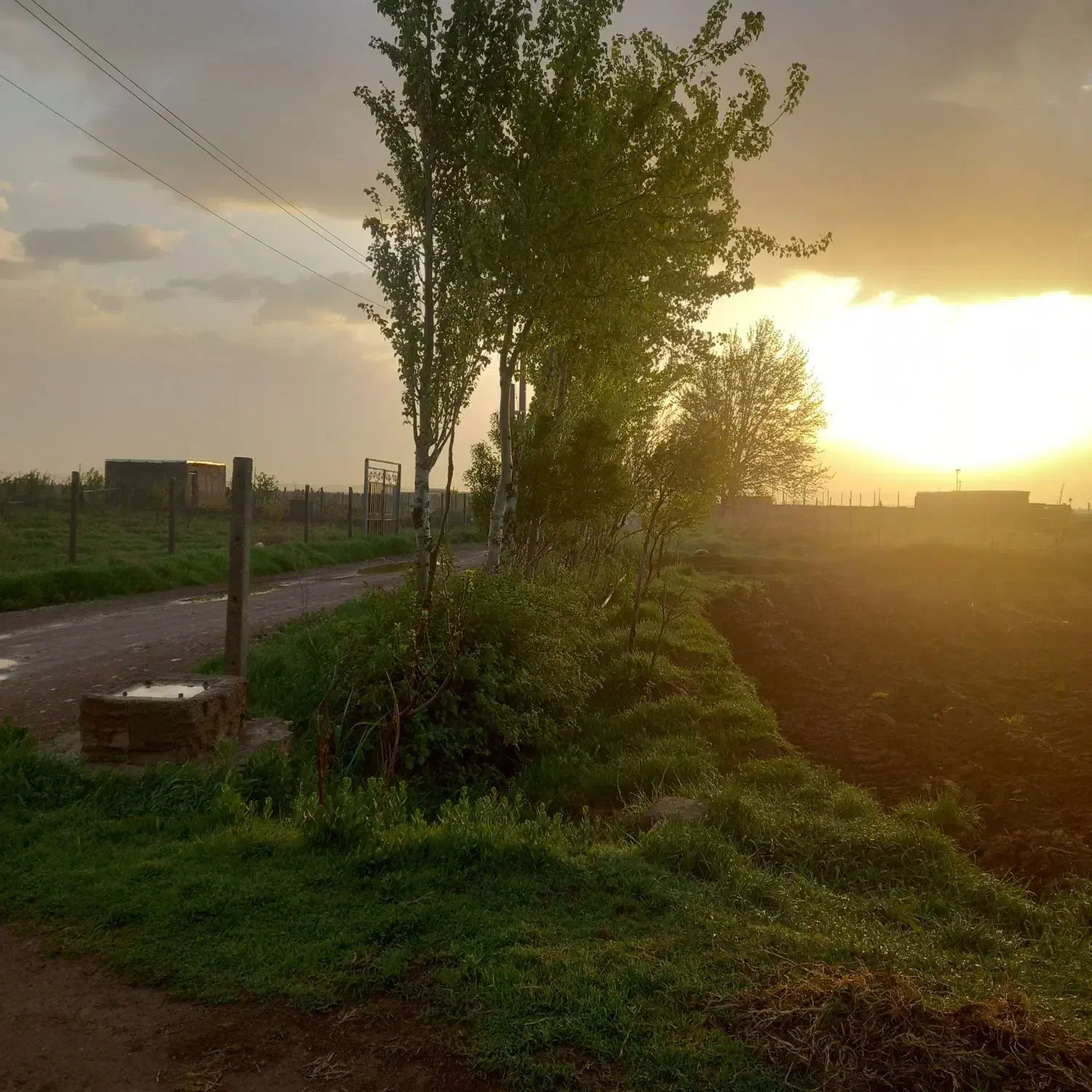 اجاره گاوداری ۲۰۰راسی|اجارهٔ دفتر صنعتی، کشاورزی، تجاری|تاکستان, |دیوار