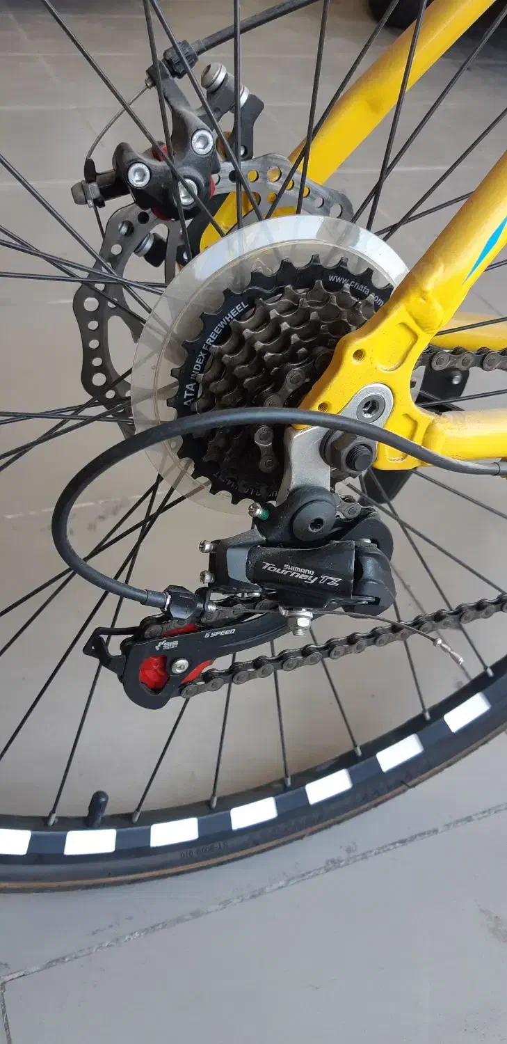 دوچرخه کورسی|دوچرخه، اسکیت، اسکوتر|کیش, |دیوار