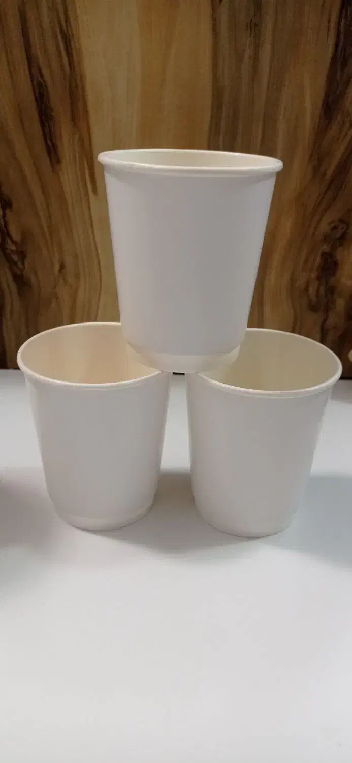 لیوان کاغذی کیفیت خوب قیمت مناسب|ظروف نگهدارنده، پلاستیکی، یک‌بارمصرف|اسلام‌شهر, مظفریه|دیوار