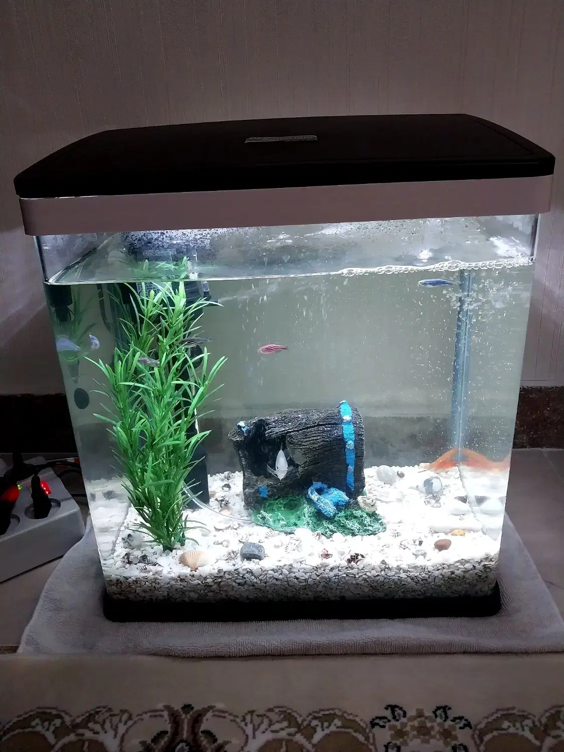 آکواریوم|ماهیگیری|تهران, شهران جنوبی|دیوار