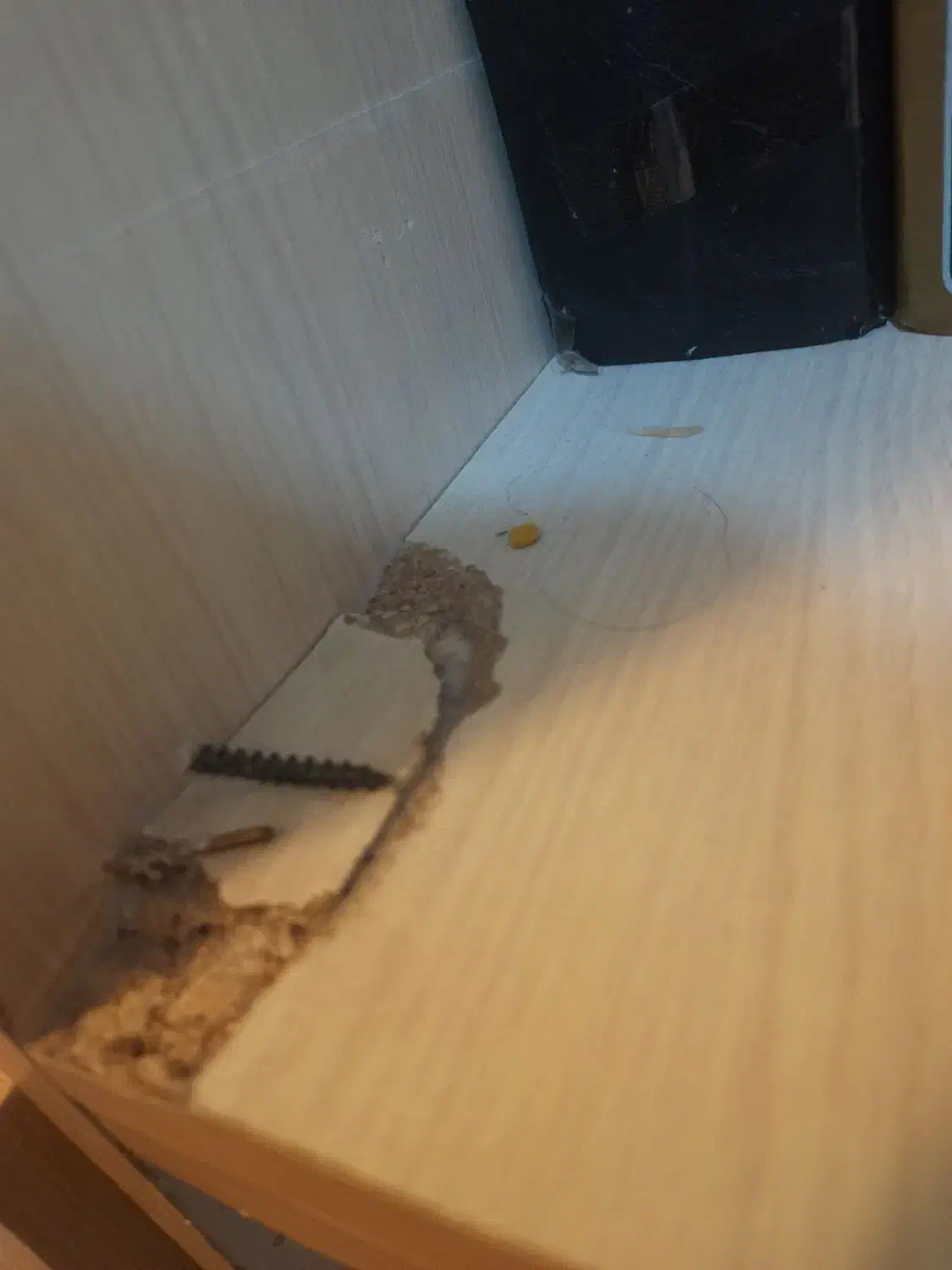 کتابخونه|کتابخانه، شلف، قفسه‌های دیواری|قم, زنبیل آباد|دیوار