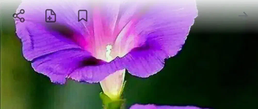 خدمات اینترنتی|خدمات رایانه‌ای و موبایل|امیدیه, |دیوار