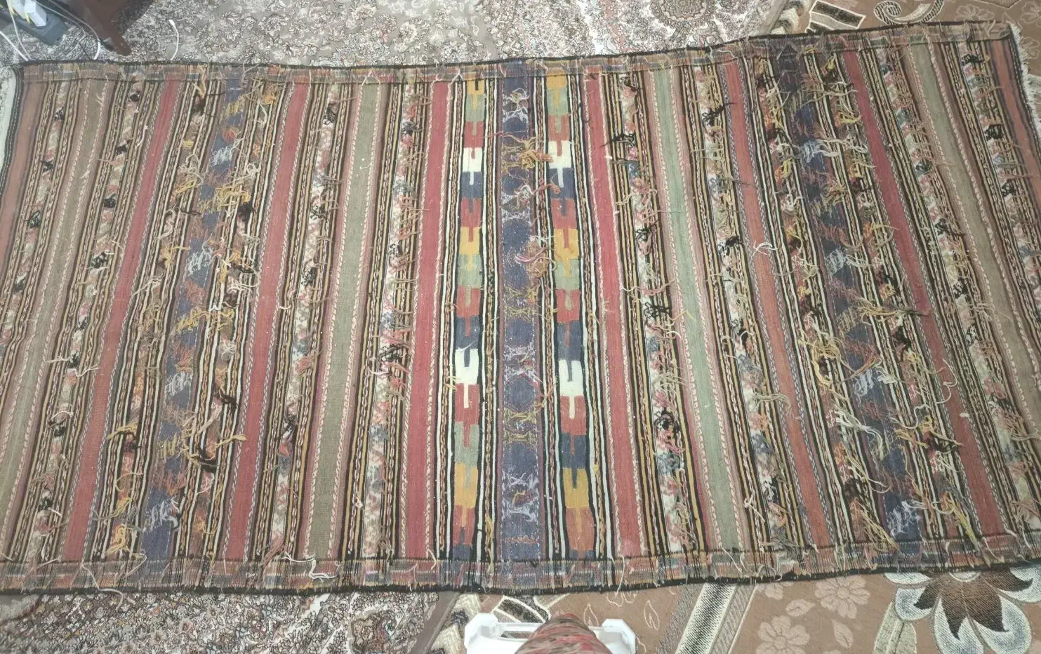 گلیم پشمی|گلیم، جاجیم، گبه|تهران, شارق|دیوار