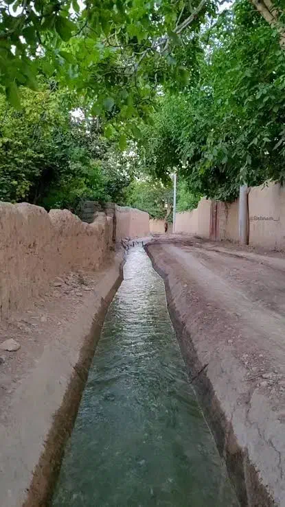 نقاش نقاشی ساختمان و رنگ امیزی|خدمات پیشه و مهارت|سبزوار, دانشگاه آزاد|دیوار