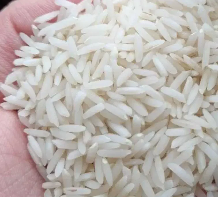 برنج محلی هاشمی رشت|خوردنی و آشامیدنی|رشت, لاکانی|دیوار