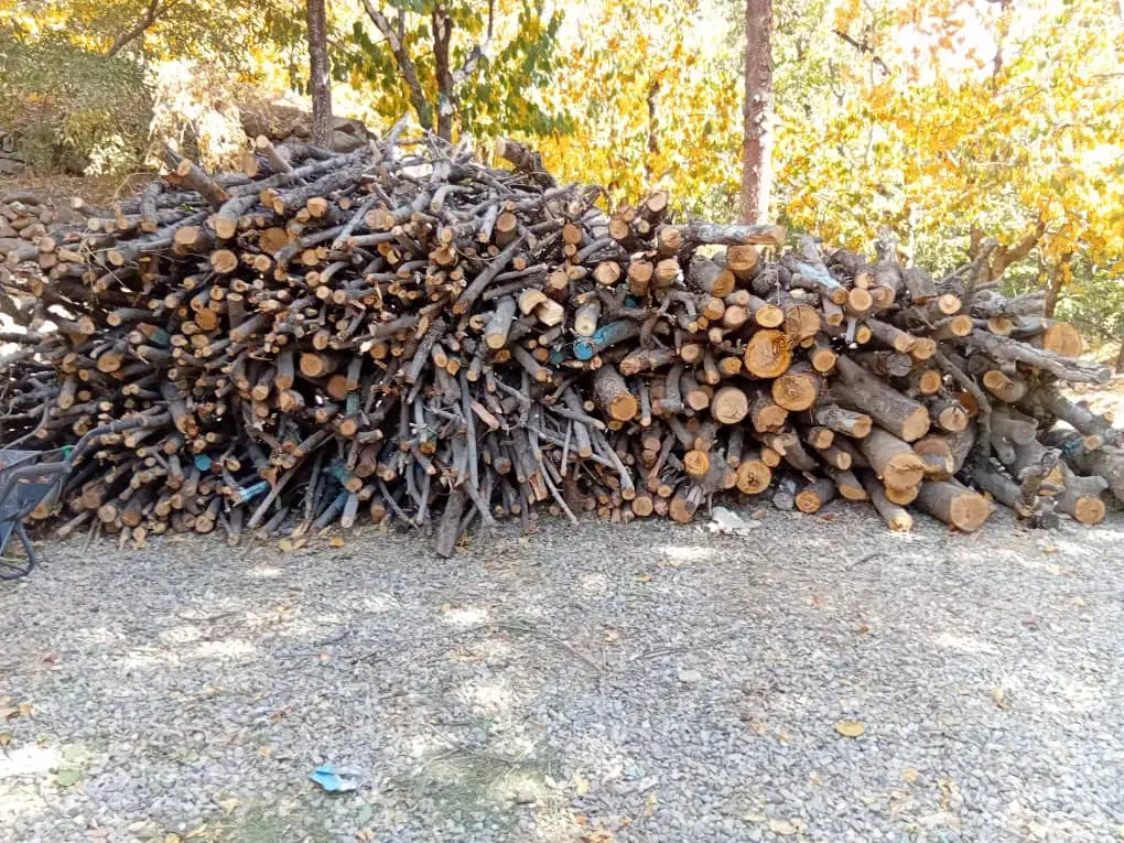 چوب درخت|عمدهفروشی|فشم, |دیوار