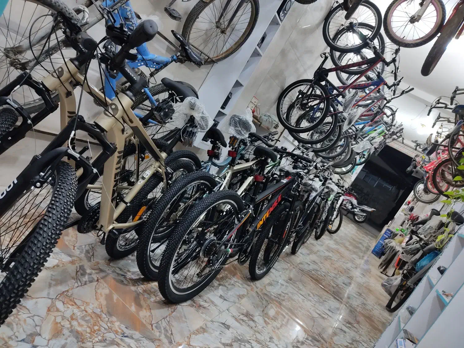 دوچرخه قیمت به صرفه|دوچرخه، اسکیت، اسکوتر|بابل, |دیوار