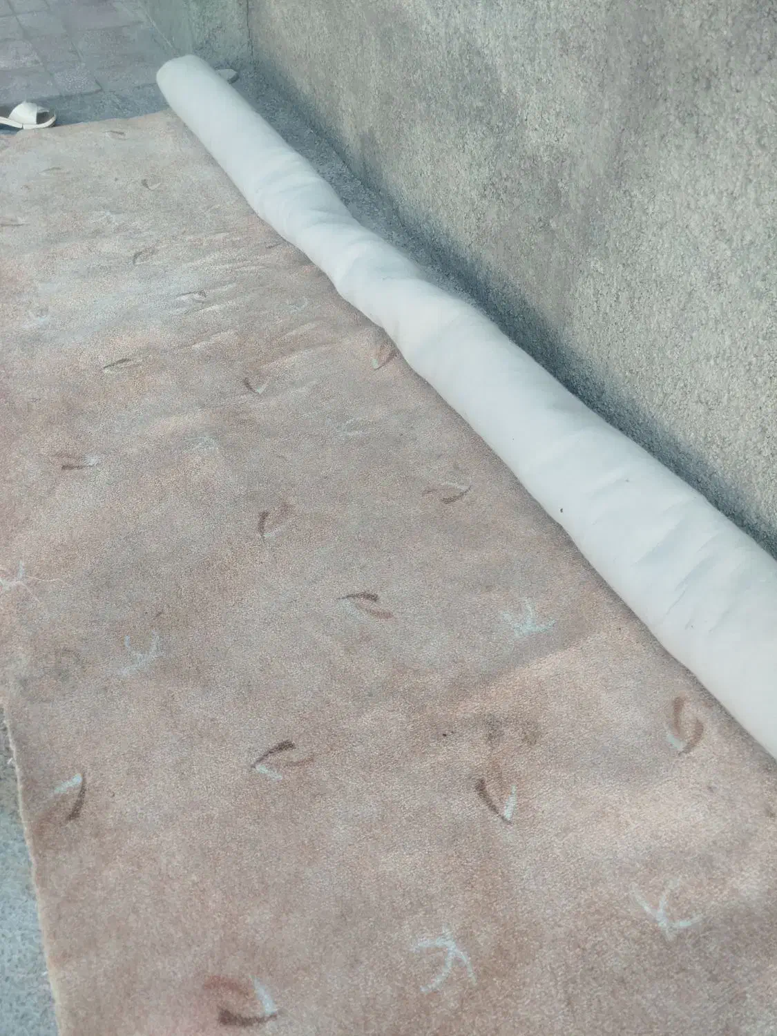 موکت|موکت|ایلام, |دیوار